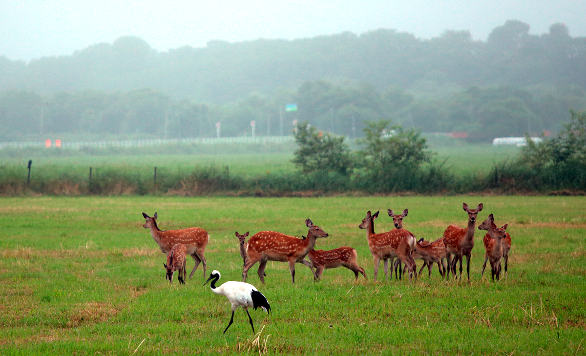 ホームページリニューアル